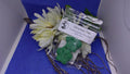 Christmas Soy Wax Melts - Holiday Scented, Paw Print, Maine Made