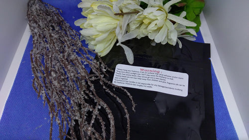 Apple Harvest scented Air Freshener - Maine Made